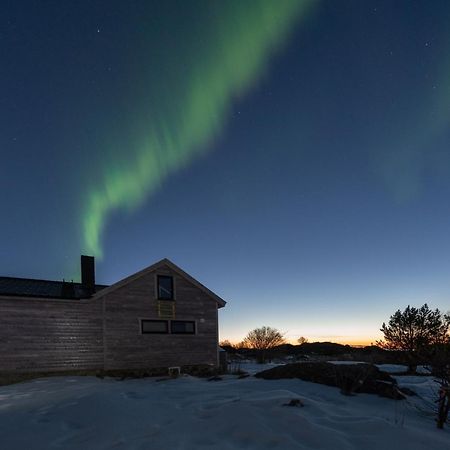 Koselig Bolig I Lofoten / Vesteralen Stronstad i Vesteralen 외부 사진